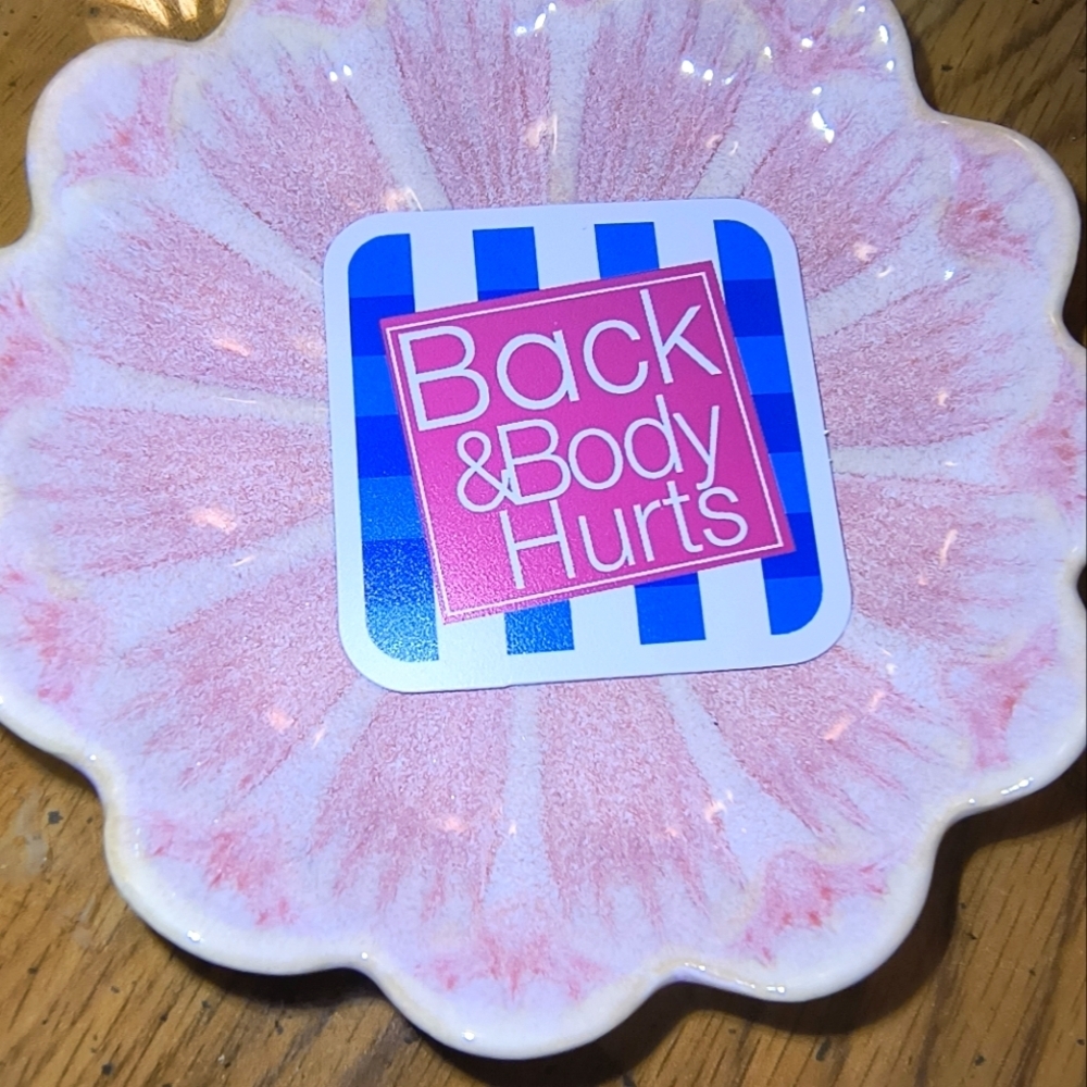 5/$10 back body hurts pink blue funny vinyl sticker bumper water bottle laptop